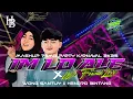 Download Lagu DJ PARTY MASHUP IM LO ALE WONG SANTUY 