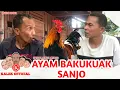 Download Lagu Ayam Bakukuak Sanjo
