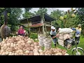 Download Lagu HARVEST NG NIYOG SA TABI NG BAHAY TAMBAK ANG BUNGA