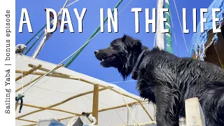 A day in the life of a shipyard dog (DOG VLOG) — Sailing Yabá