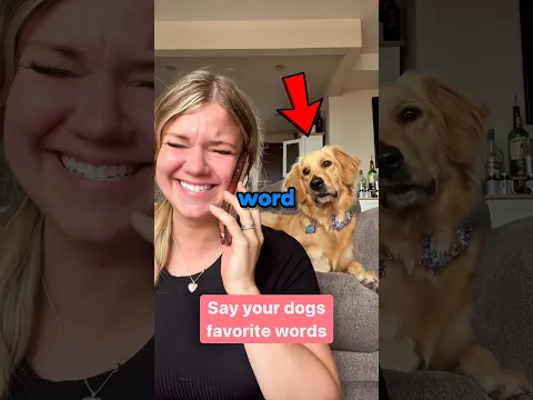 Never Say Your Dog’s Favorite Word 😂🐶 #shorts #dog