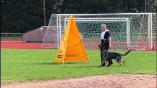 tuukka nikola u0026 estrellest von vector 2019 igp finnish championships protection part
