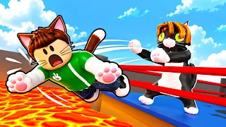 معركة القطط | Cat Battles !! 🐈😱