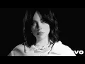 Haunt - Billie Eilish AI