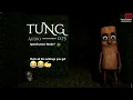 SUB 3 2 23 48 TUNG Speedrun WORLD RECORD