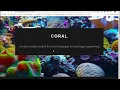 Wk1 - Coral Hello World