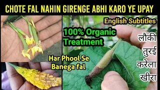 सड़कर नहीं गिरेंगे लौकी घीया / तुरई / करेला /खीरा के छोटे फल कीजिये ये ऑर्गेनिक उपाय Stop Fruit Drop