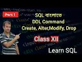 SQL DDL Create Alter Drop Modify Add Select Insert Class XII WBCHSE
