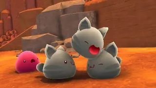 2 minuets of tabby slimes because they re cute Slime Rancher