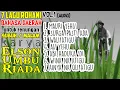 7 LAGU ROHANI SUMBA TENGAH TERBAIK - VOL.1 KARYA ELSON UMBU RIADA ( Om Osa )