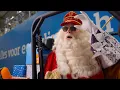 Het grote Sinterklaas-avontuur voor mini-Coolblue’ers 2025