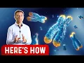 Which Things Increase Telomere Length