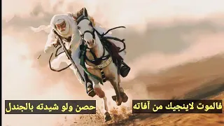 موت الفتى في عزة خير له  أدائي  دندنها