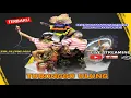 Download Lagu Live Jaranan Campursari TURONGGO ULUNG || Pucungkidul Boyolangu Tulungagung ● Terbaru2025