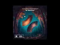 Jason Ross feat. Brandyn Burnette - No Tomorrow