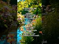 Download Lagu രാക്കുയിൽ 🤍.!#kjyesudashits#oldmalayalamsongs#90s#lyricalstatus#evergreenhits#songlyrics #malayalam