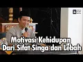 Download Lagu Motivasi Kehidupan dari Sifat Singa dan Lebah | Ustadz Abdul Somad