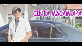 cinta macam apa cipt voc damy assan