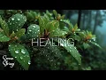 Download Lagu Relaxing Guitar Music for Deep Sleep \u0026 Stress Relief - Acoustic Nature Sounds