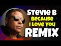 Lagu Stevie B. - Because I Love You (PAULINHO DJ VR - FREESTYLE REMIX)