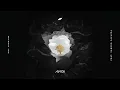 Avicii, Sandro Cavazza - Without You “Audio”