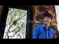 Download Lagu KARAOKE NASI GORENG SPESIAL WIDI WIDIANA