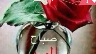 اهلا بها الطل 