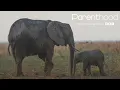 Sam Ryder - Go Steady from BBC's Parenthood (Official Audio)