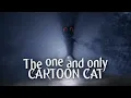 He's the Cartoon Cat (original song)
