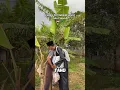 Download Lagu Ke Mekkah lewat Jalur Sawah😭