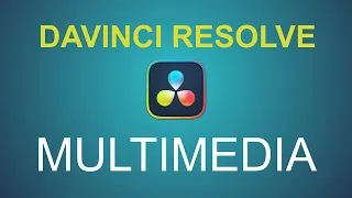 5. El Panel Multimedia de Davinci Resolve