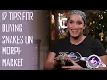 12 Tips for Buying a Snake on Morph Market
