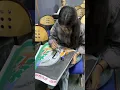 Poster making Competition