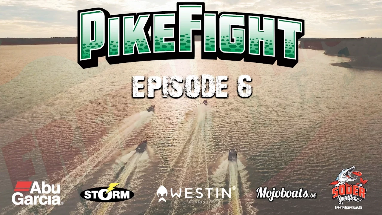 video Pike fight 2016