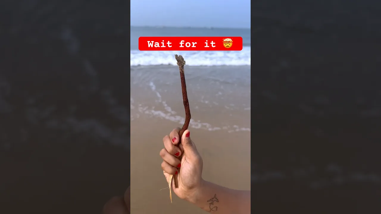 Wait for it!