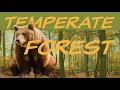 Explore the TEMPERATE FOREST Biome Nature Ecology Environment