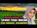 Lagu Sawah Tegal Makam Babakan Waru, dg iringan lagu Sunda KEMBANG LAMUNAN - DETTY KURNIA