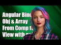 Angular binding object with array from component to view with ngModels