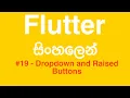 Flutter Sinhala Tutorial part 19 - Dropdown and Raised Buttons