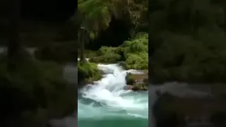 شاب حسني هاد زين 