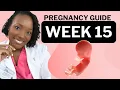 15 Weeks Pregnant What To Expect