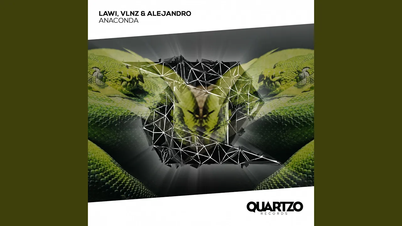 Anaconda (Extended Mix) Anaconda (Extended Mix)