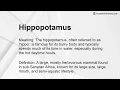Hippopotamus Meaning