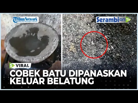 Viral Cobek Batu Dipanaskan Keluar Hewan Mirip Belatung