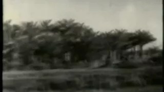 صباح عاشقه وغلبانه 