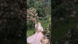 يا شجر التوت غصنك ليه يعود حلات واتس من اجمل الاغاني جوجو 