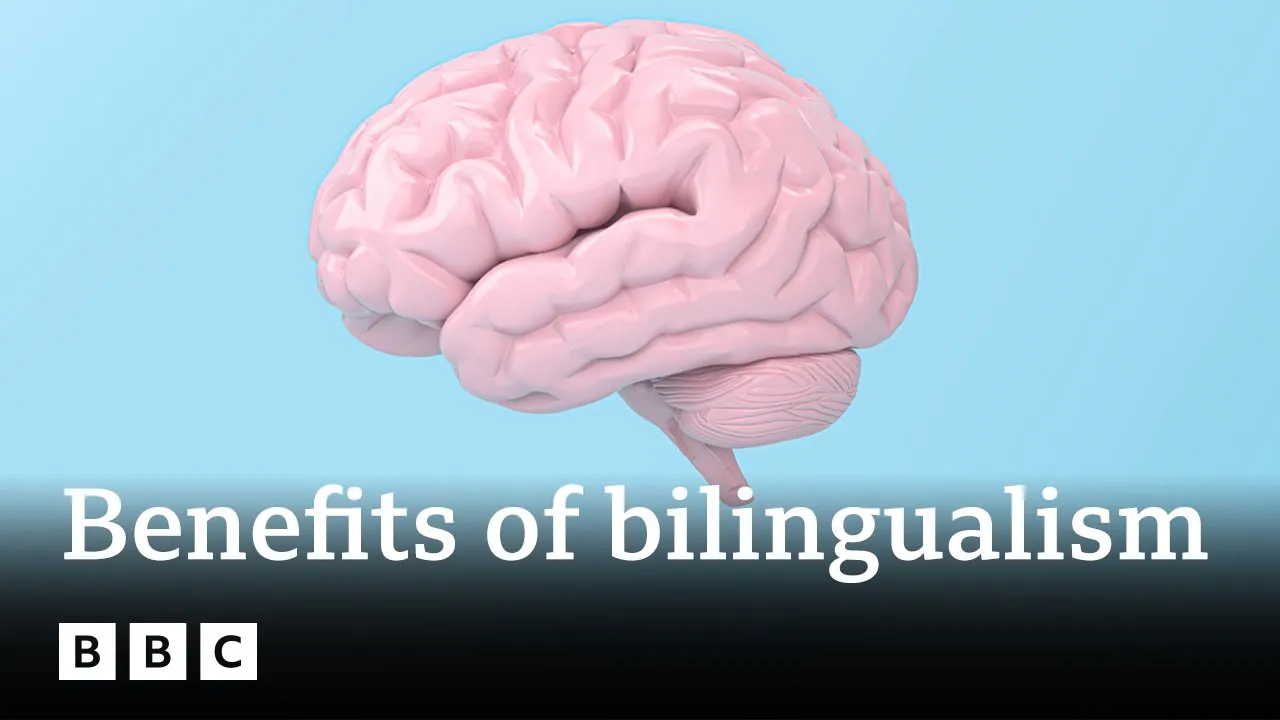 Outline Video Is being bilingual good for you brain? | BBC Ideas