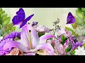 Download Lagu BEAUTIFUL MUSIC THAT WILL BRING TEARS TO YOUR EYES! MUSIC FROM SERGEY GRISCHUK, MUSIC FOR THE SOUL!