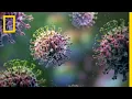Download Lagu Flu Virus 101 | National Geographic