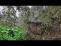 Lagu Real ❗ Di guyur Hujan Deras Non-stop - Tinggal Di Pondok Kecil Di Tengah Hutan - Memasak Daun Ubi